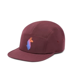 Llama Stripes 5-Panel Hat