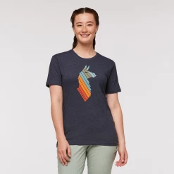 Llama Stripes T-Shirt - Women's -Cotopaxi Shop 1200x1200png F23WLlamaStripesOrganicTShirtGraphite 2