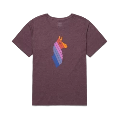 Llama Stripes T-Shirt - Women's -Cotopaxi Shop 1200x1200png F23WLlamaStripesOrganicTShirtPlusSizeWine 3X F