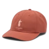 Cotopaxi Dad Hat