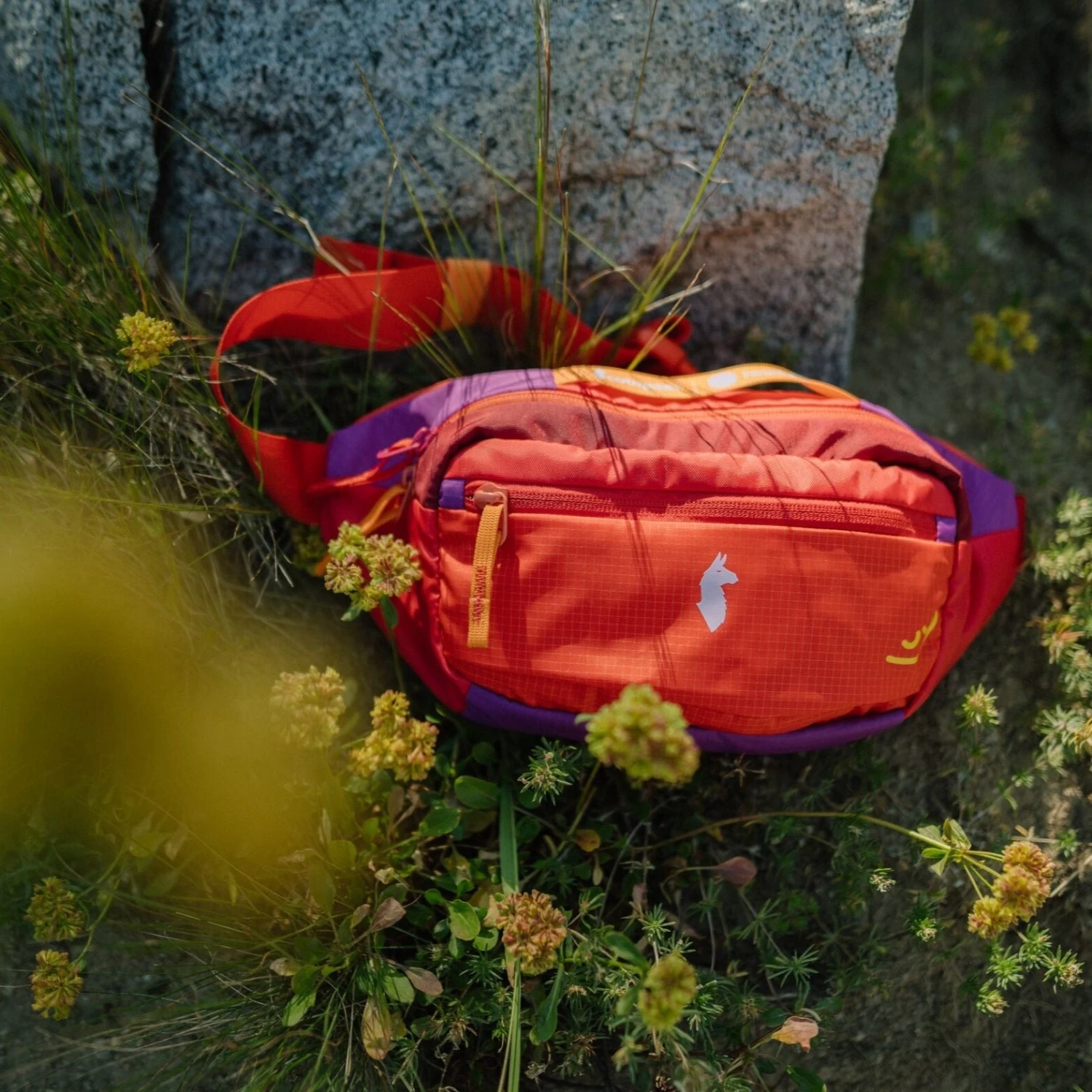 Headspace X Cotopaxi Kapai 3L Hip Pack - Del Día 6 Headspace X Cotopaxi Kapai 3L Hip Pack - Del Día - Image 6